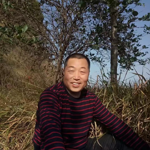 冷酷美女的照片
