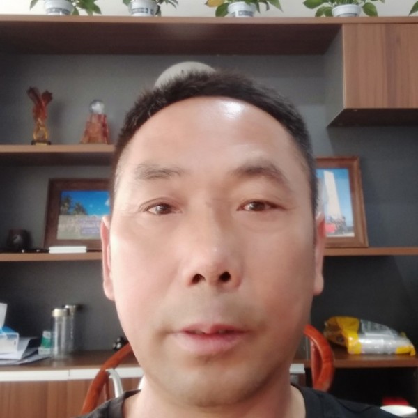 犀牛给舒适的照片