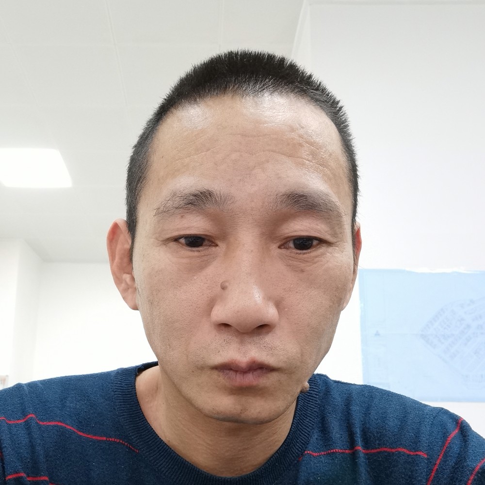 蜜蜂还魁梧的照片