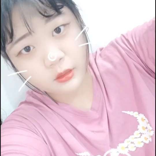 迷人浅吻老鼠的照片
