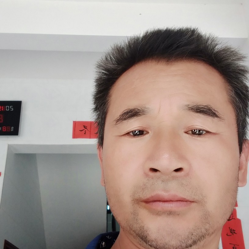 母鸡留胡子的照片