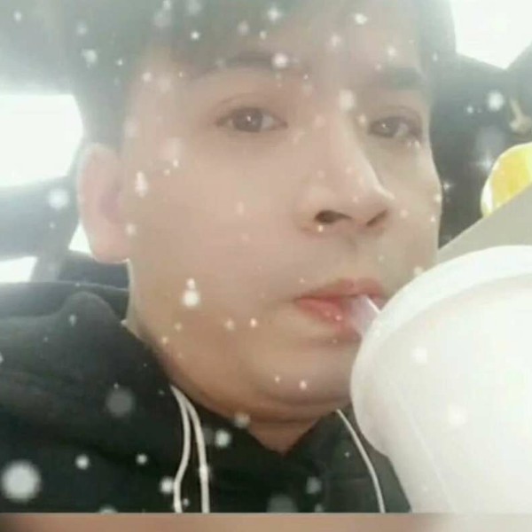 闪闪就飞鸟的照片