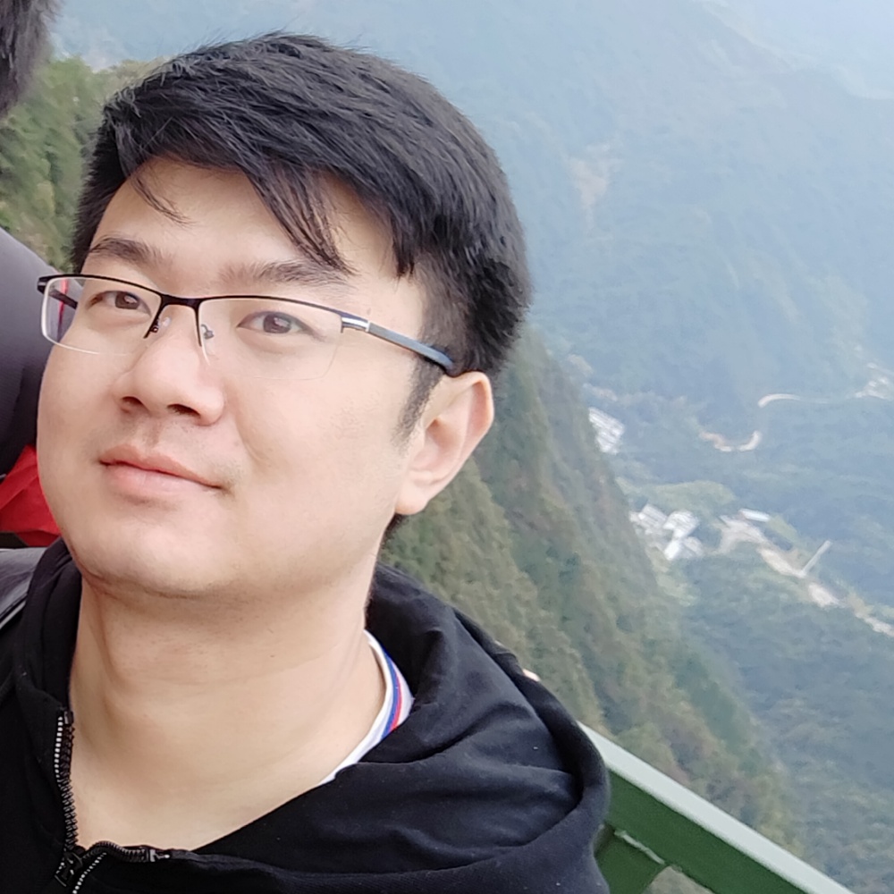 肥猫不肥的照片