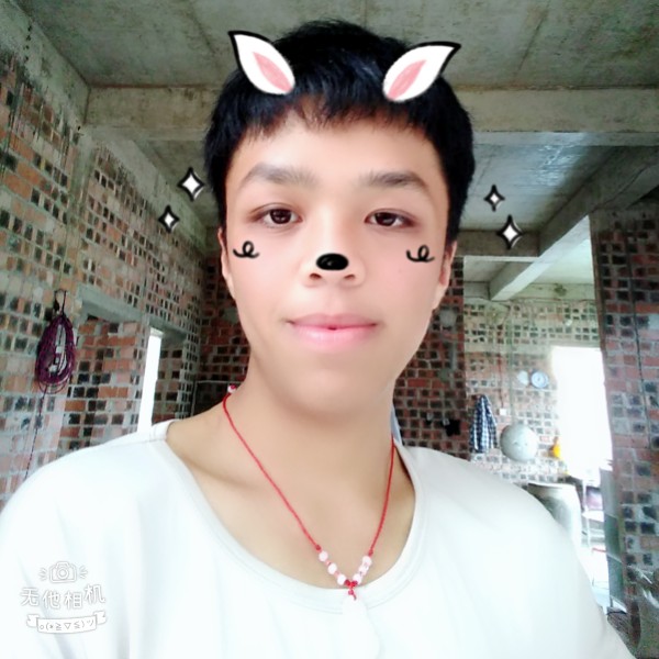 倾听雪落~星辰的照片