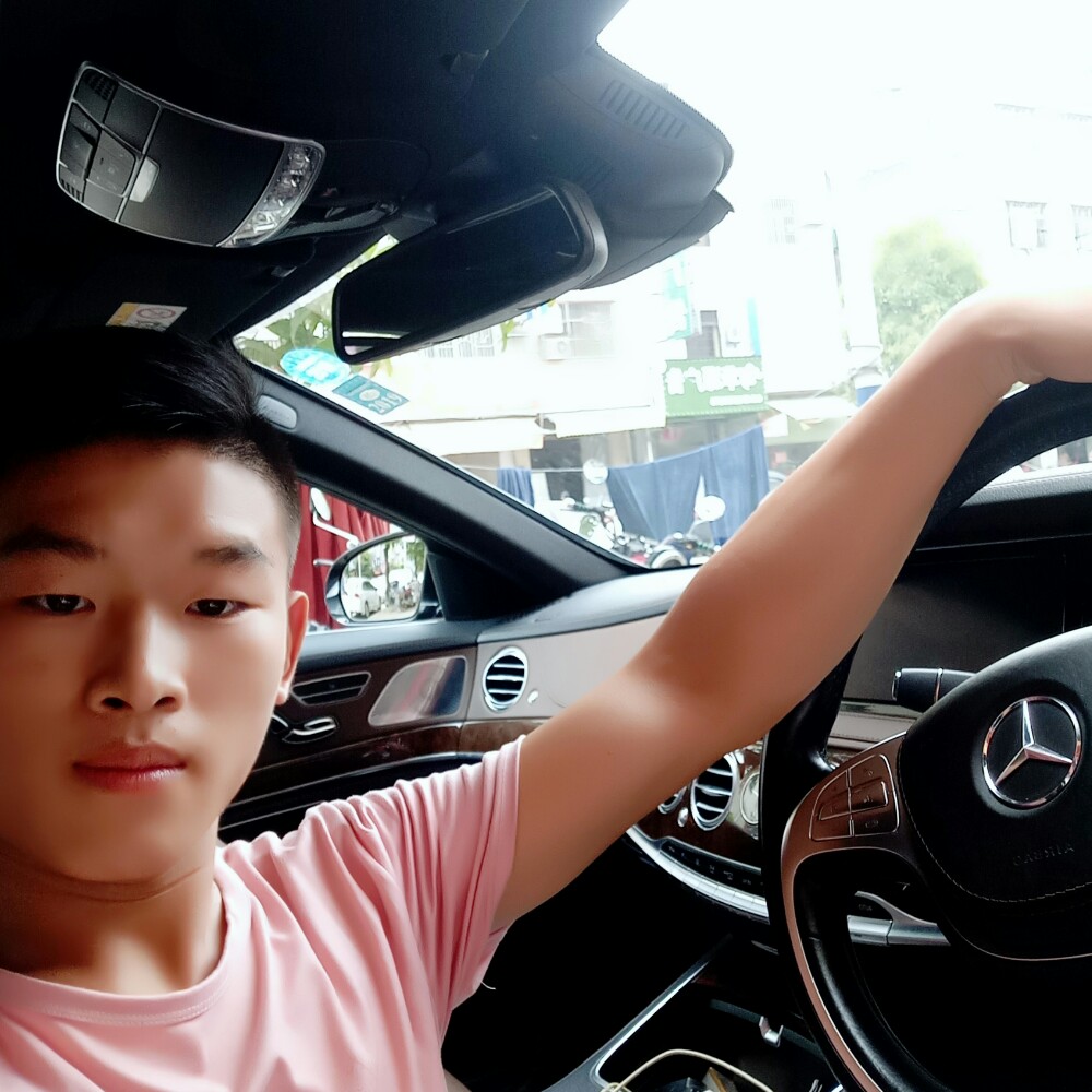 有魅力灰狼的照片