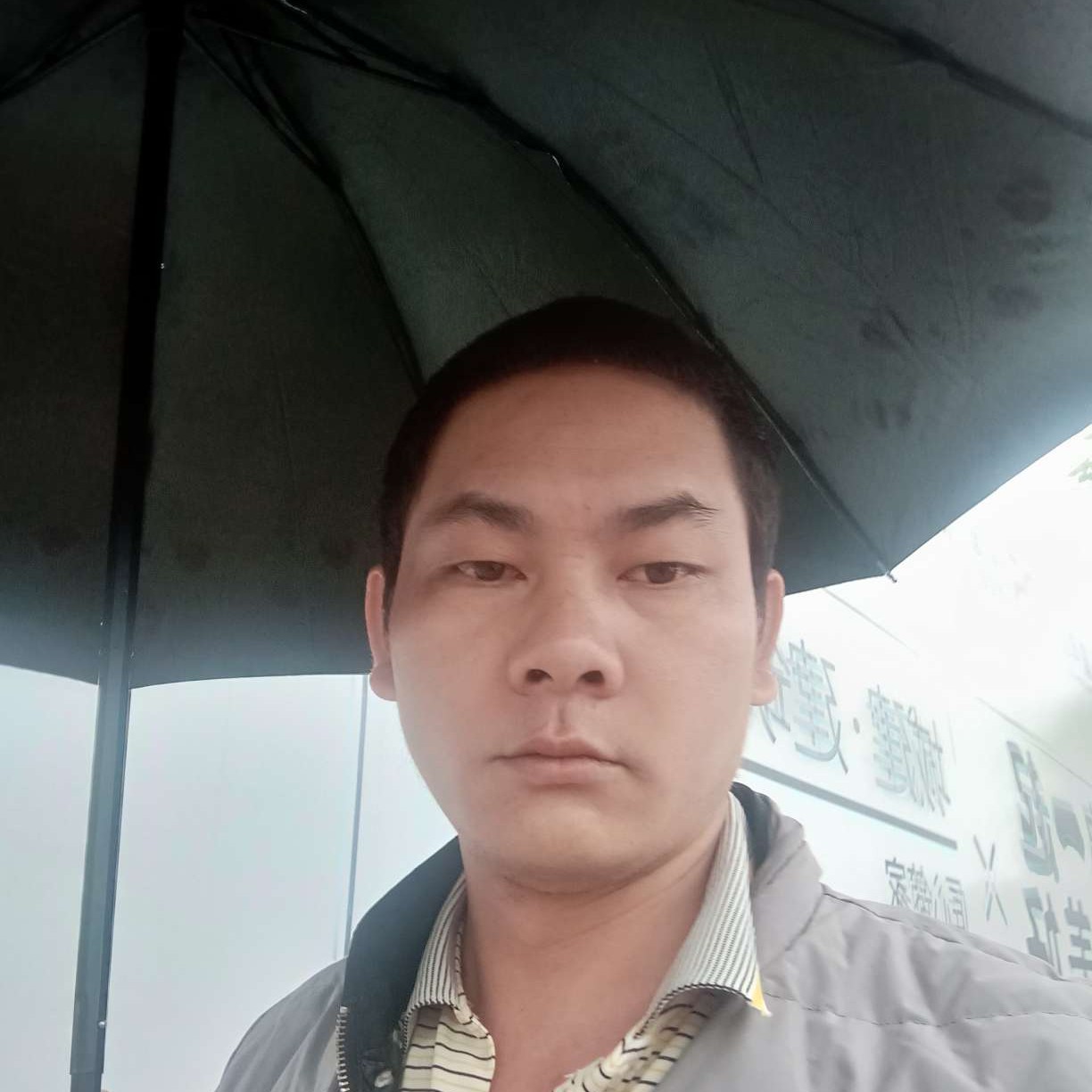 可乐演变迷人的照片