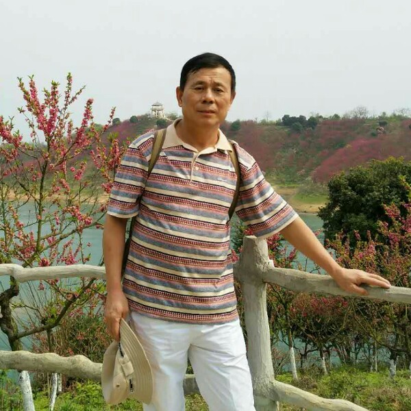 羞涩锦瑟的照片