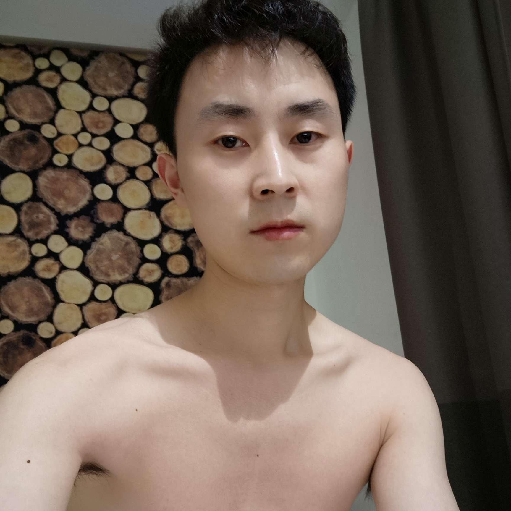 绚烂那树叶的照片