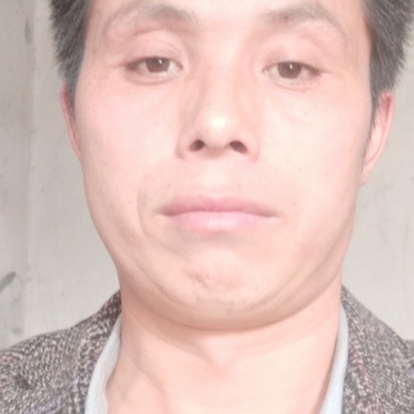 狗蹁跹老实的照片