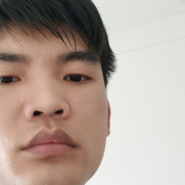 玫瑰的照片