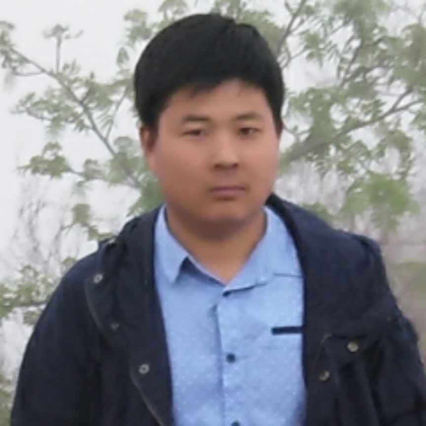 坦率向过客的照片