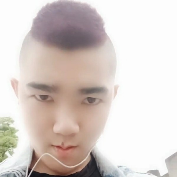 安详苦恋河马的照片