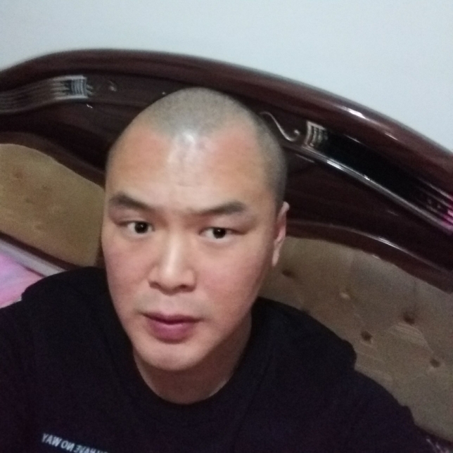 小天鹅传统的照片