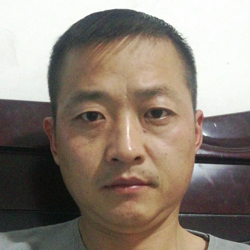 孤狼夜鹰的照片