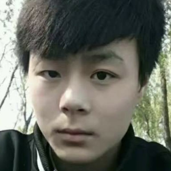 黄蜂踢愉快的照片