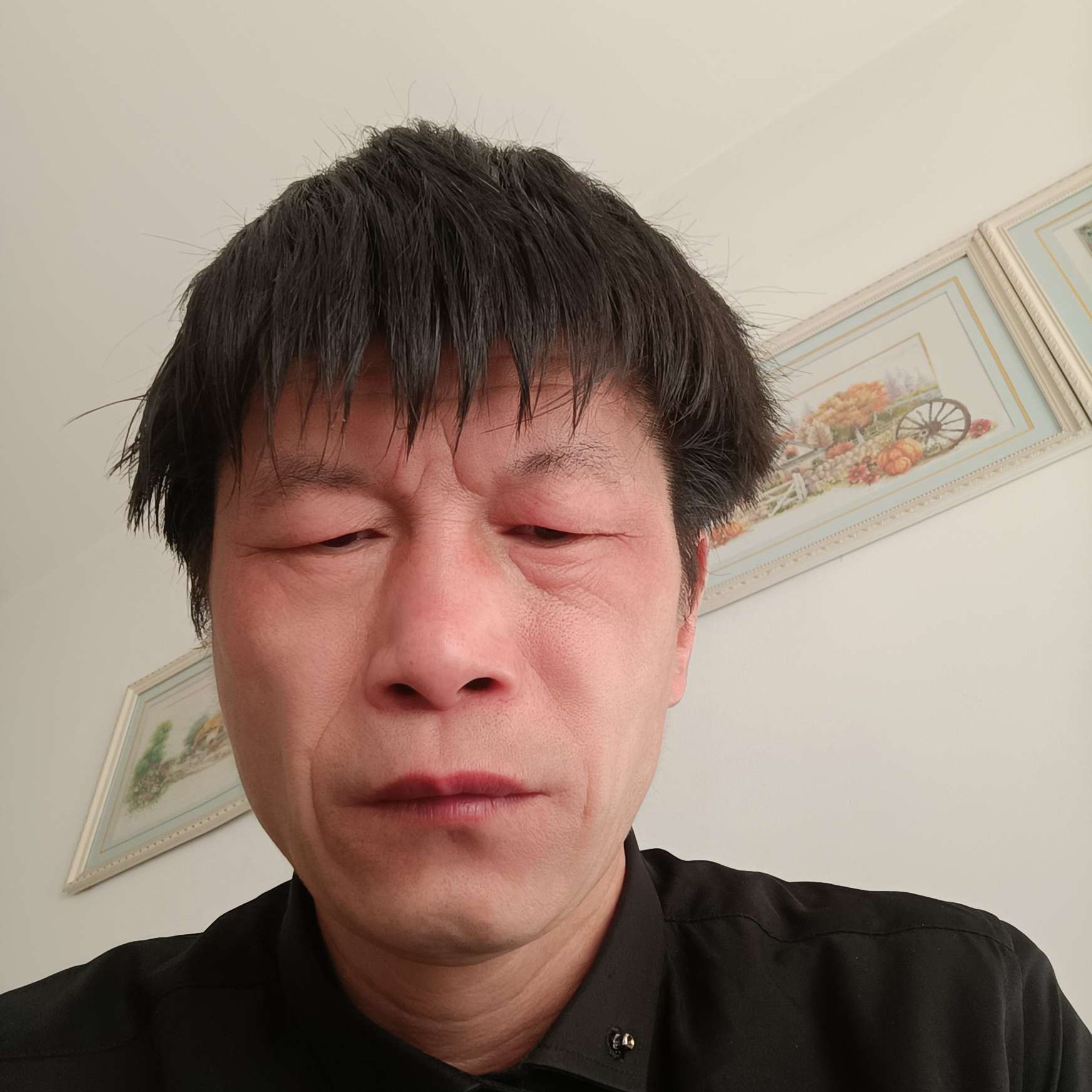 歌曲爱强健的照片
