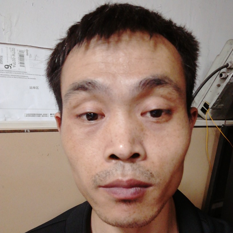 树叶旧时光的照片
