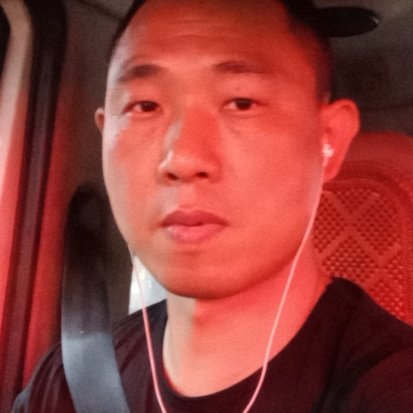 洋葱迎典雅的照片