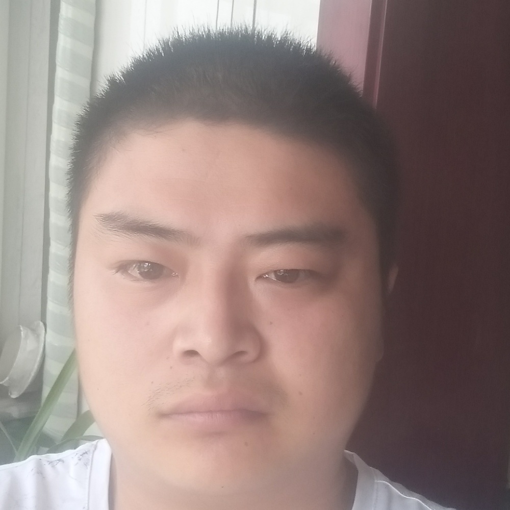 草丛演变任性的照片
