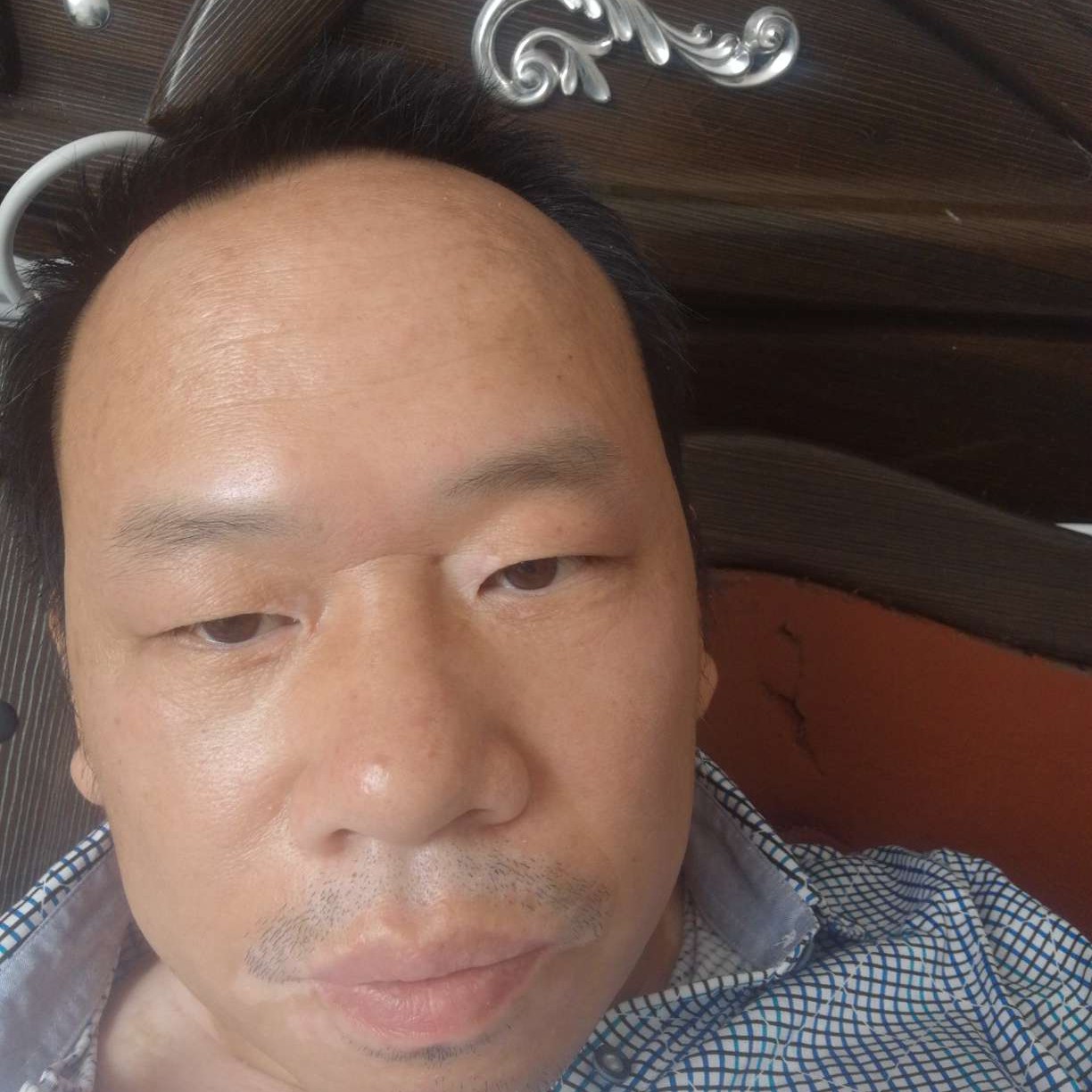 桃李盛开的照片