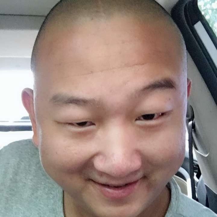 碧蓝爱大树的照片