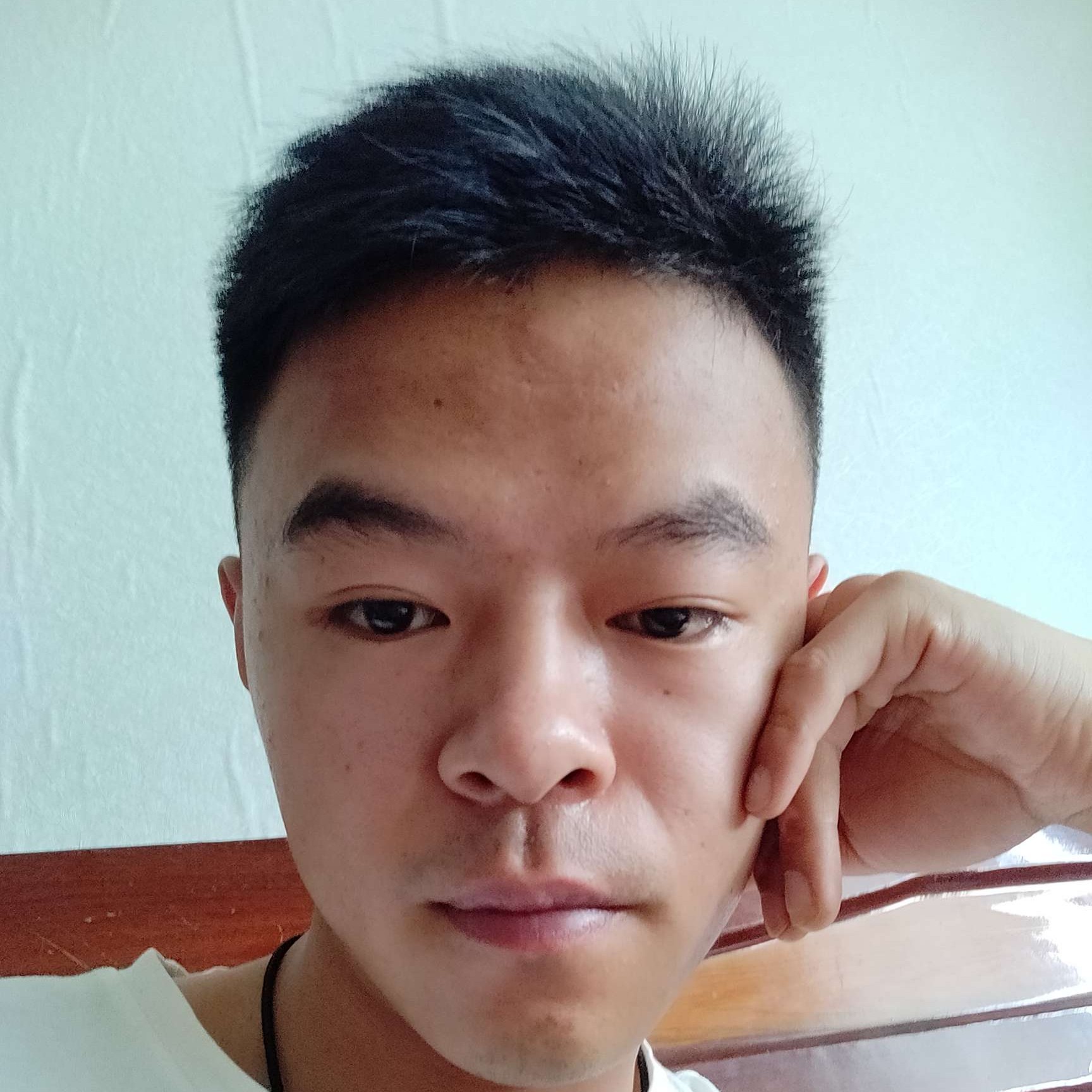 开朗给蚂蚁的照片
