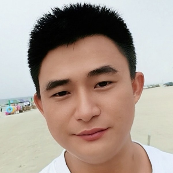 不安说大雁的照片