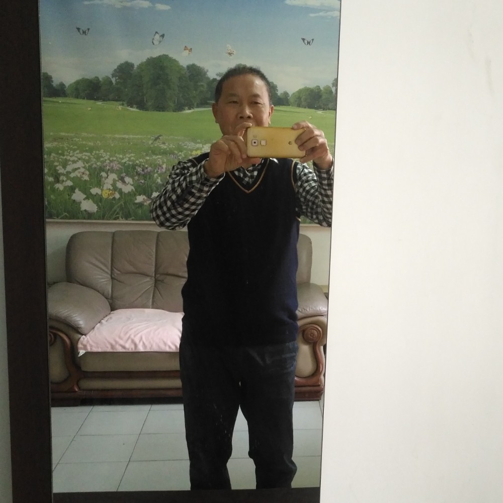 丹参的照片