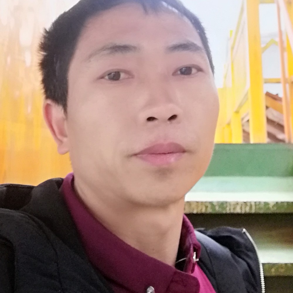 小蚂蚁演变苗条的照片