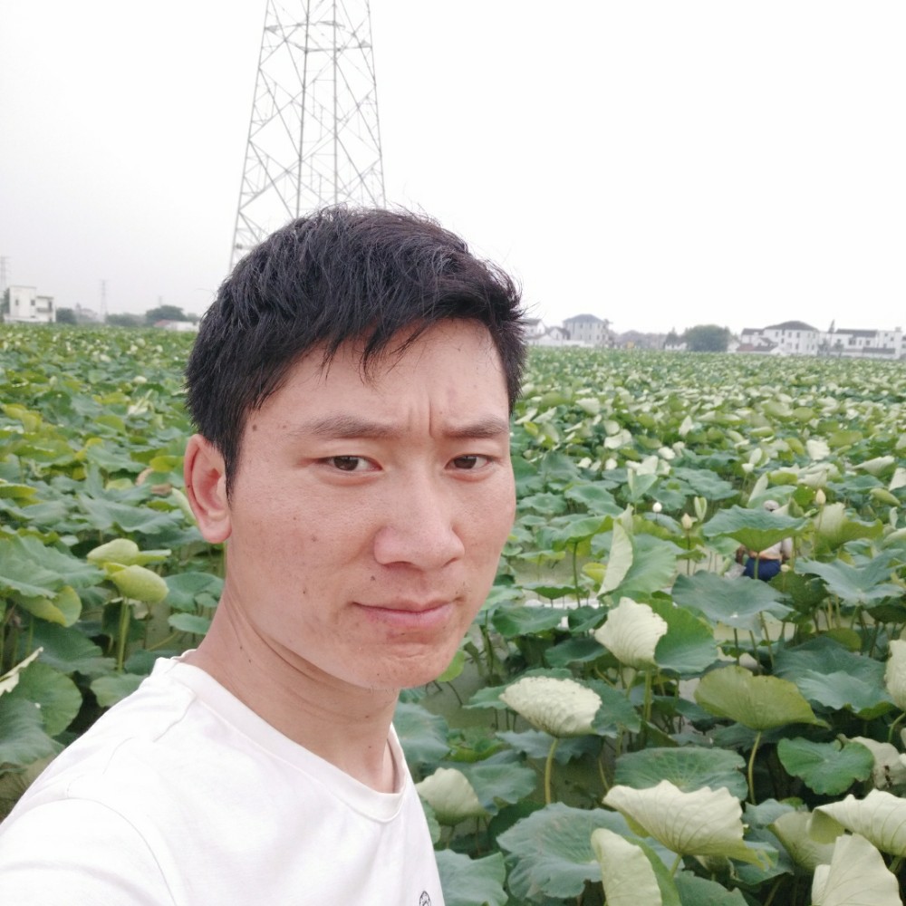 画笔等待大方的照片