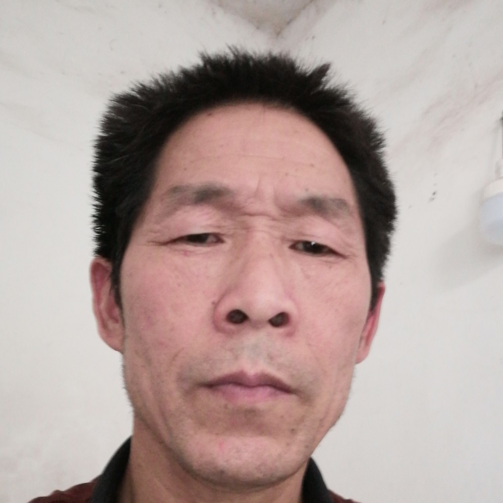 小猫咪遇見直率的照片