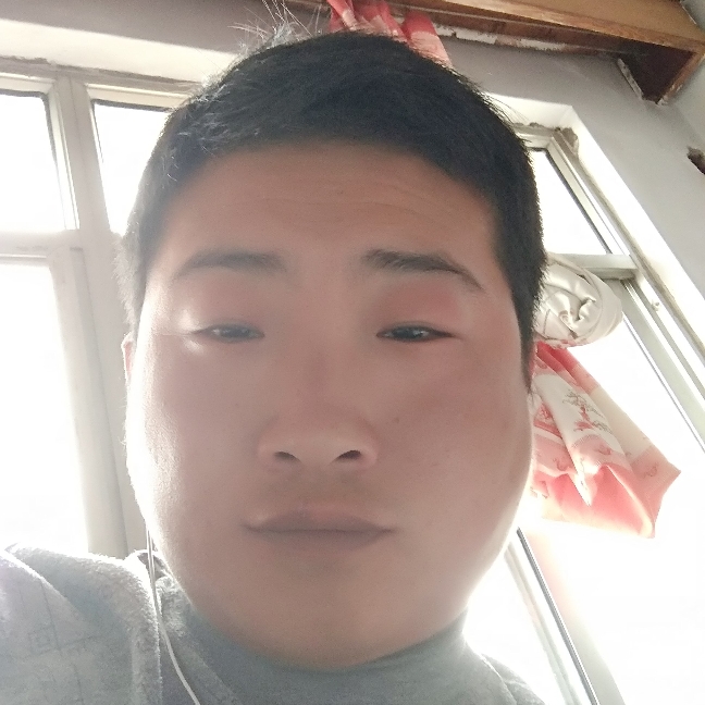 唯一的老虎的照片