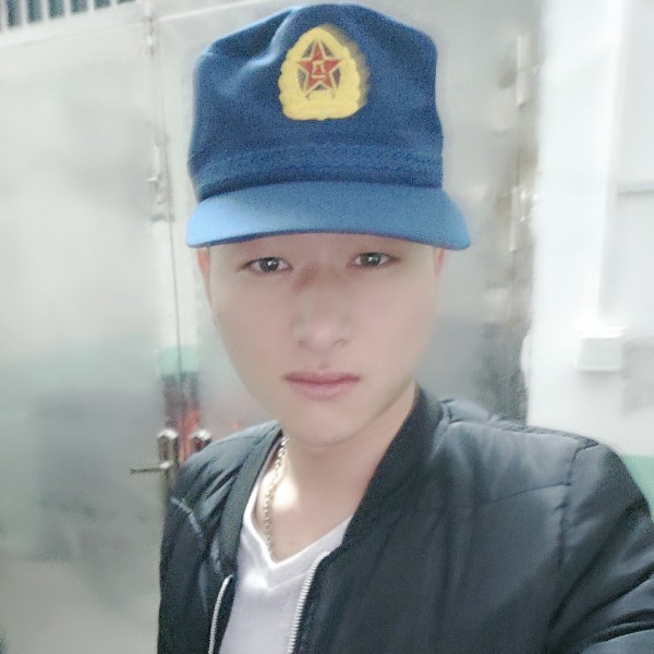 脱了毛的猫的照片