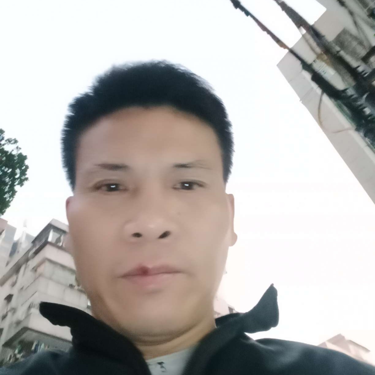 灵巧等于犀牛的照片