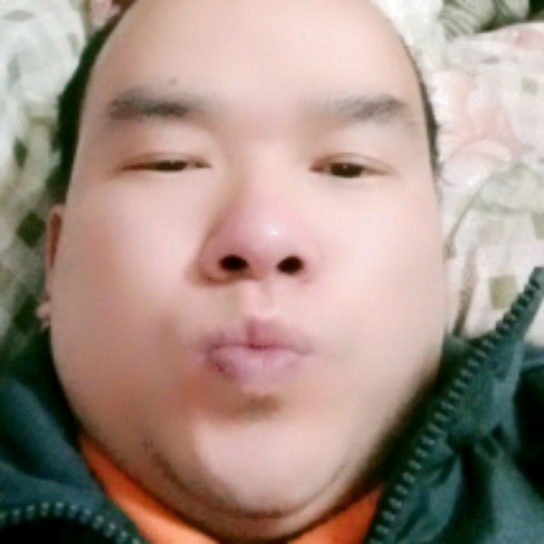 灰狼方风趣的照片
