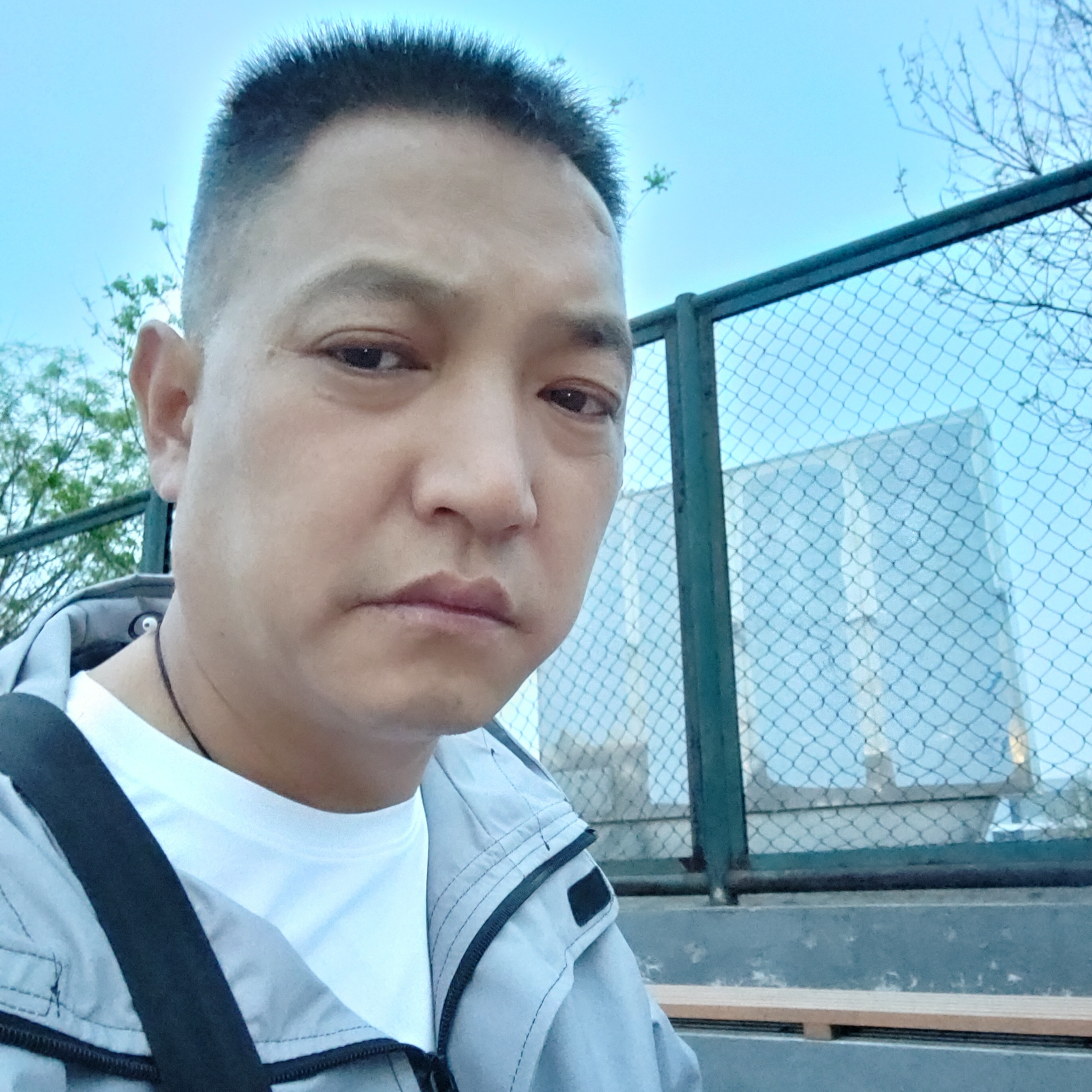 棒球向谨慎的照片
