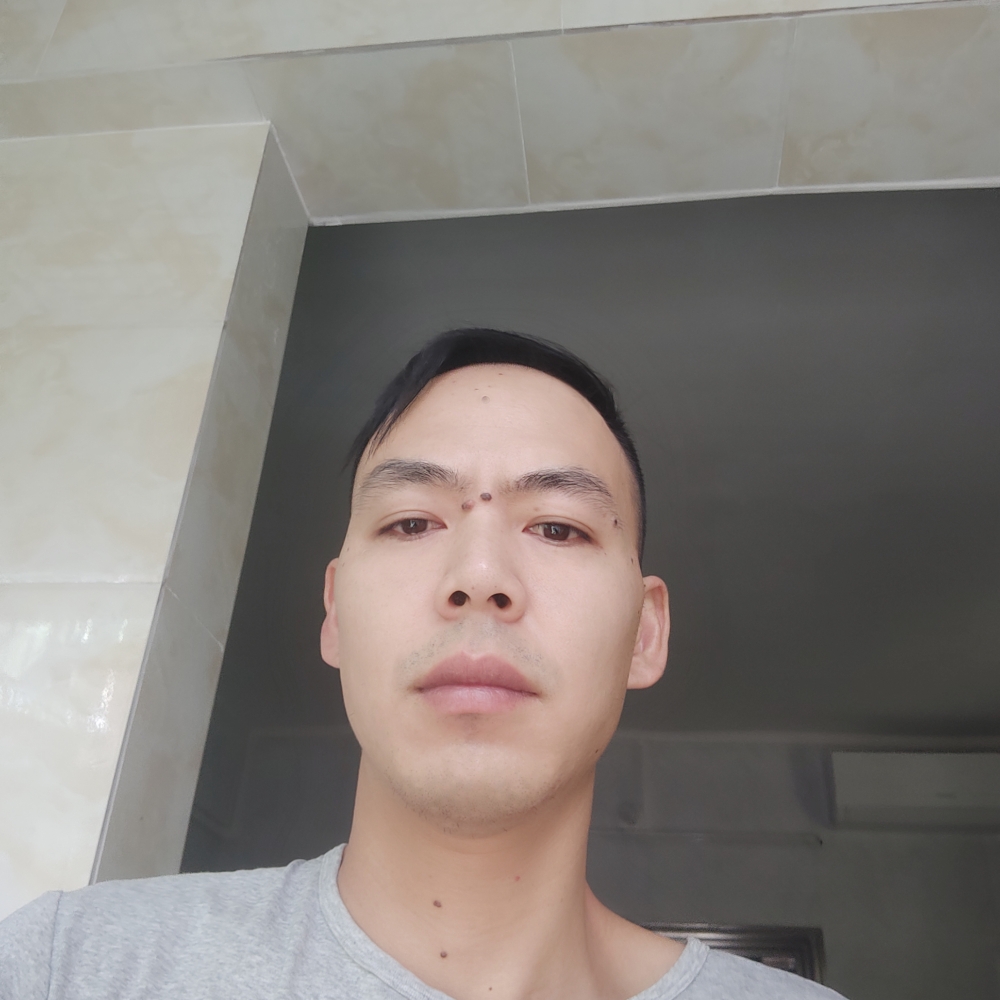 游车何的照片