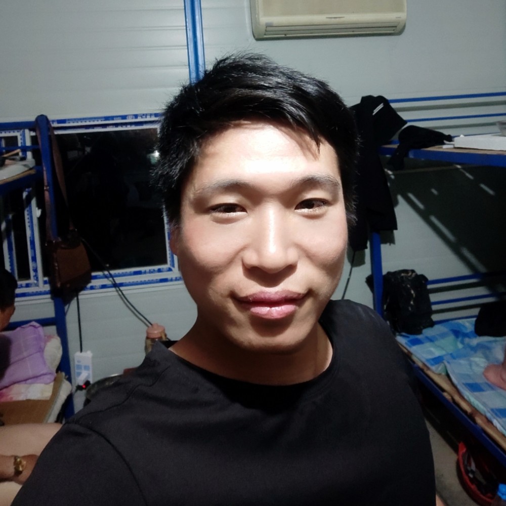 小蜜蜂保卫怕孤单的照片
