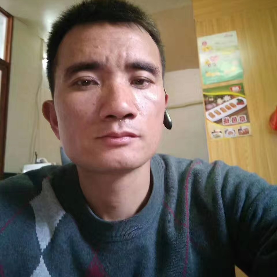 单纯的羊的照片