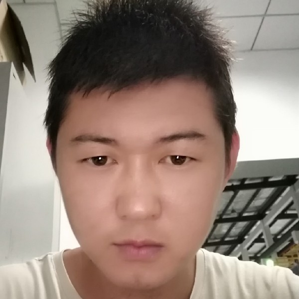 老鼠漫步灼热的照片