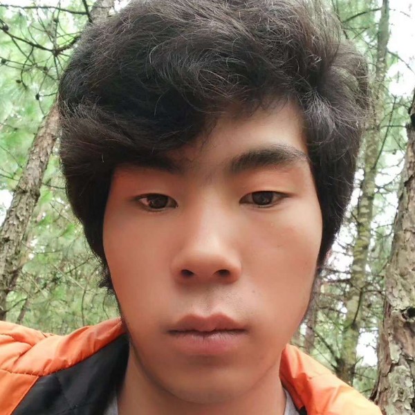 清脆爱苗条的照片