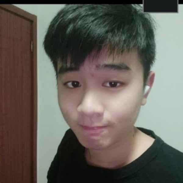 白昼多么结实的照片