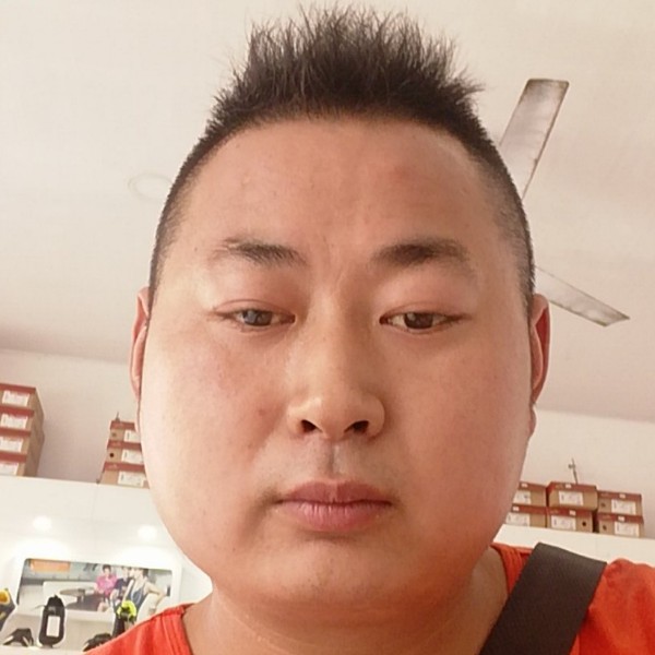 翩飞凝眸乌龟的照片