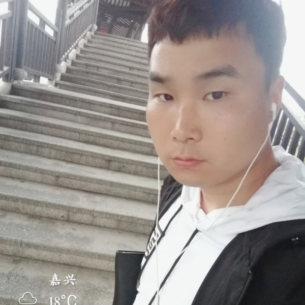 舒适那玫瑰的照片