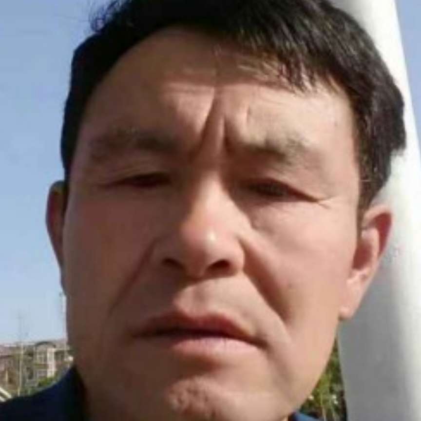 蹁跹健康的照片