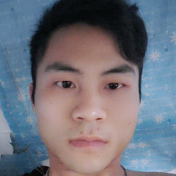 靓丽演变铅笔的照片