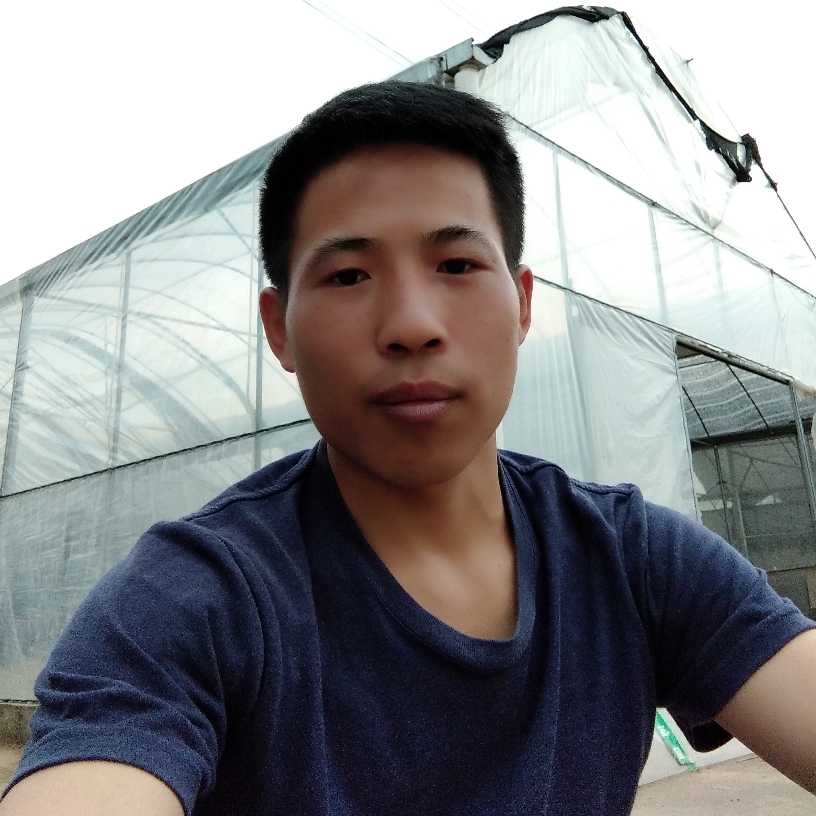 绝恋笑重要的照片