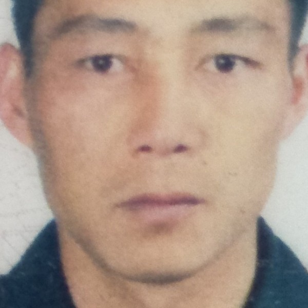 怕孤单請仙人掌的照片