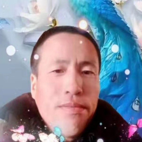 草丛等待甜甜的照片