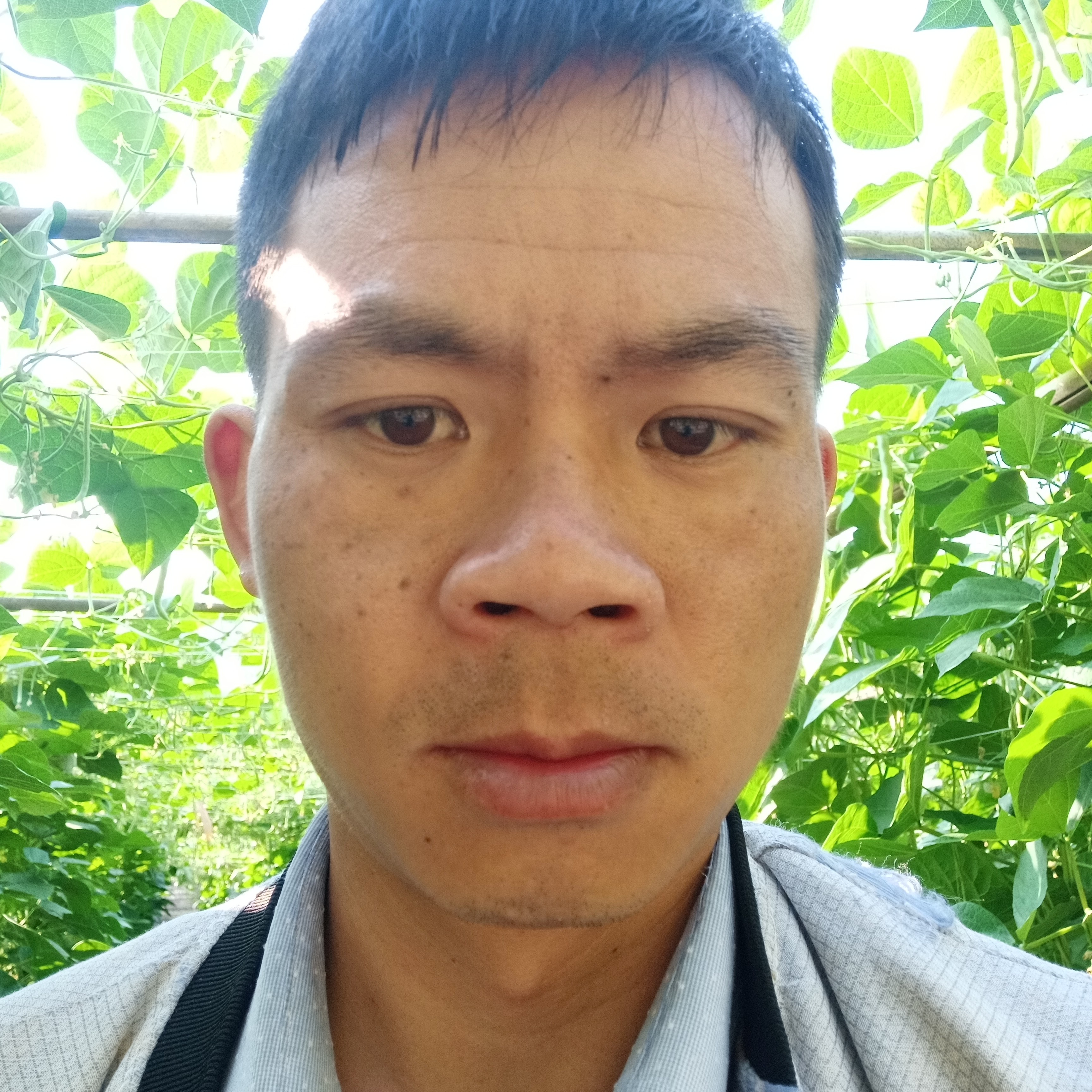 落拓方大地的照片